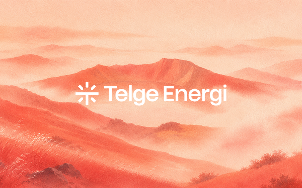 Telge Energi: digital sales for energy customers